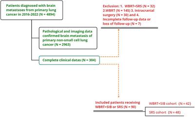 Choice of radiotherapy modality for the combined treatment of non-small cell lung cancer with brain metastases: whole-brain radiation therapy with simultaneous integrated boost or stereotactic radiosurgery